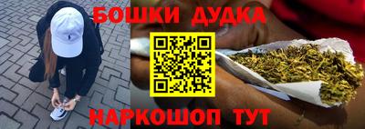 прущие грибы Краснодар