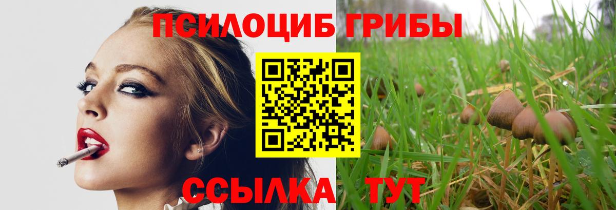 Алапаевск  Псилоцибиновые грибы Magic Shrooms  Вход с VPN 